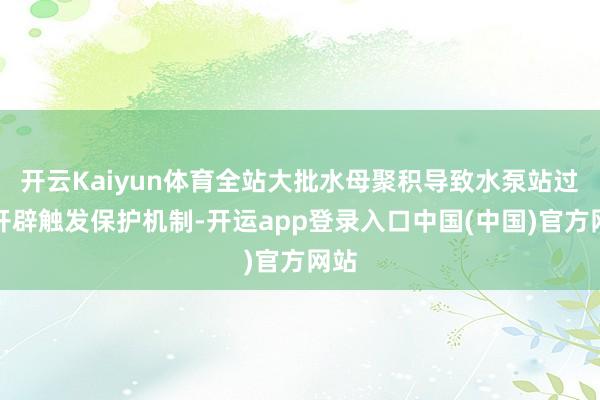 开云Kaiyun体育全站大批水母聚积导致水泵站过滤开辟触发保护机制-开运app登录入口中国(中国)官方网站