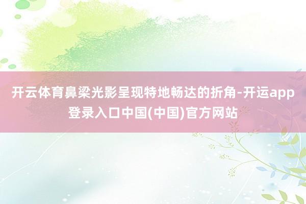 开云体育鼻梁光影呈现特地畅达的折角-开运app登录入口中国(中国)官方网站