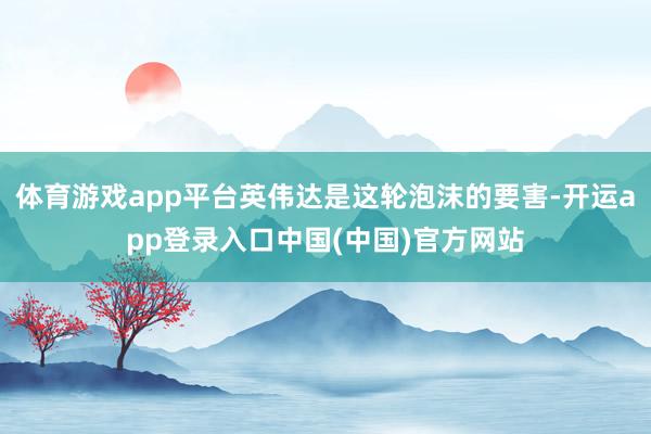 体育游戏app平台英伟达是这轮泡沫的要害-开运app登录入口中国(中国)官方网站