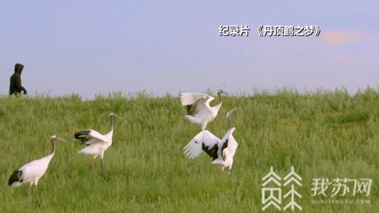 http://oss.cloud.jstv.com/cdv-yuntonglian_QMTNRK_YUNSHI_7AFFC868CBEF4E07B8458C48ED97C2DC_45887C4EDA4248A59CC88AF91055E1E7.bmp?x-oss-process=style/paipai