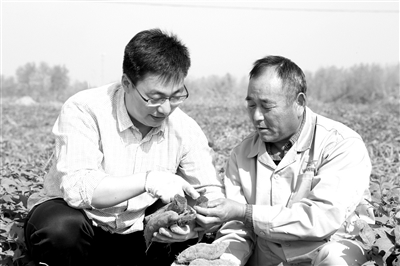 http://paper.jyb.cn/zgjyb/images/2020-06/01/06/1_328687_b.jpg